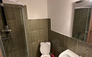 Proprietate cu piscina Dumbravita - Poză 33