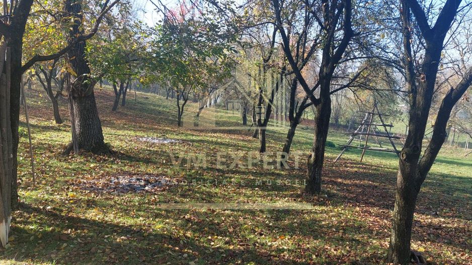 TEREN INTRAVILAN 3000 MP, CAMPULUNG - Poză 5