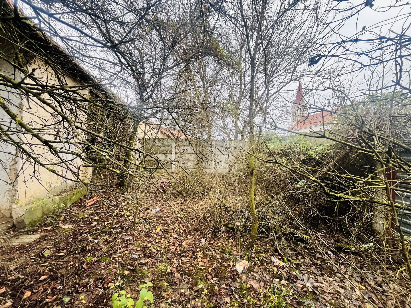 Casă cu teren de 1.463 mp în Ghizela, Timiș – Comision 0% - Poză 4