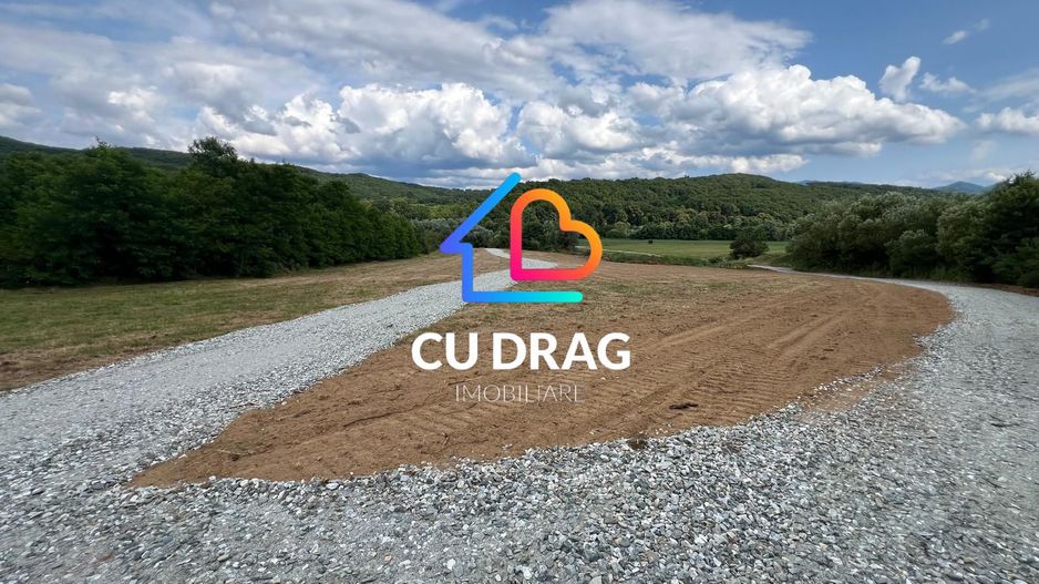 Teren de investitie Talmaciu - Poză 6