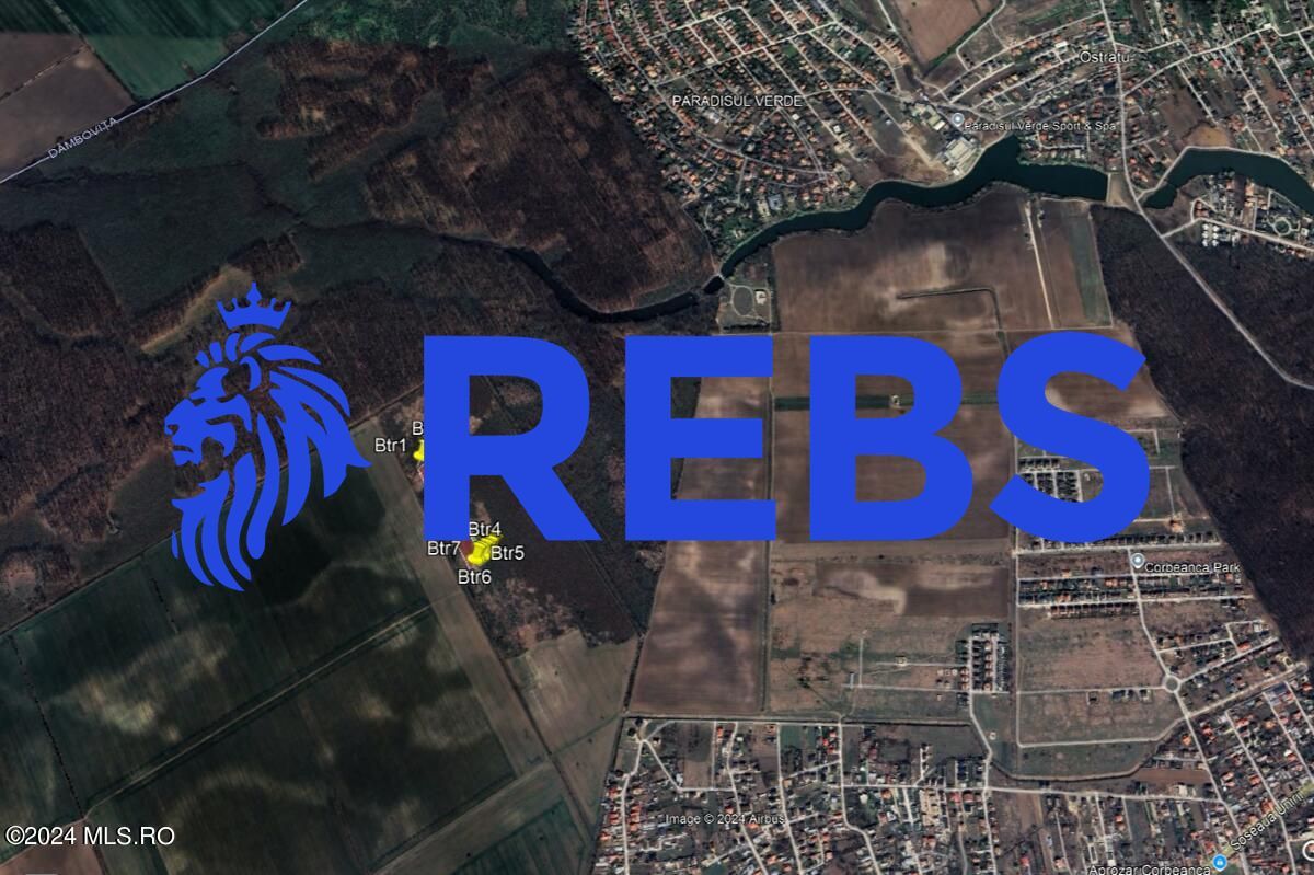 Tamasi, langa padure, 12.824 mp, deschidere 45 ml, teren cu potential - Poză 6
