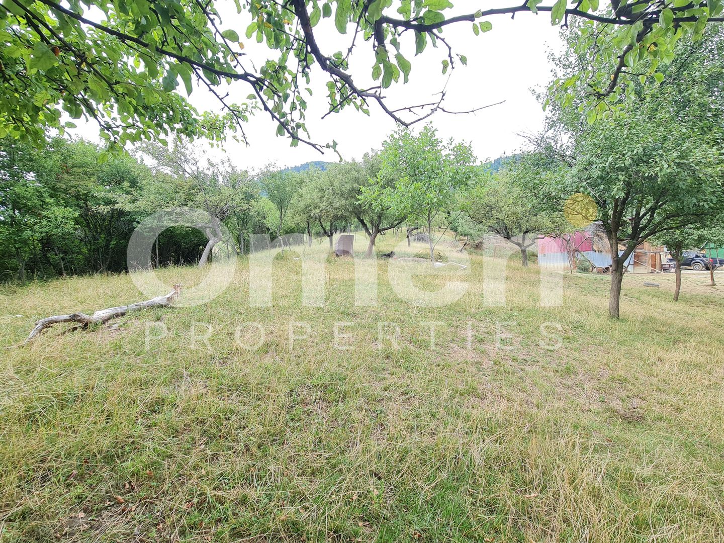 Teren de vânzare | Suprafață 10.040 mp | 2.500 € / ar | Strada Nucului - Poză 3