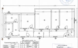 Casă  Ploiești – 215 Mp Utili | Strada Cașin | Teren 255 Mp | Renovat - Poză 19