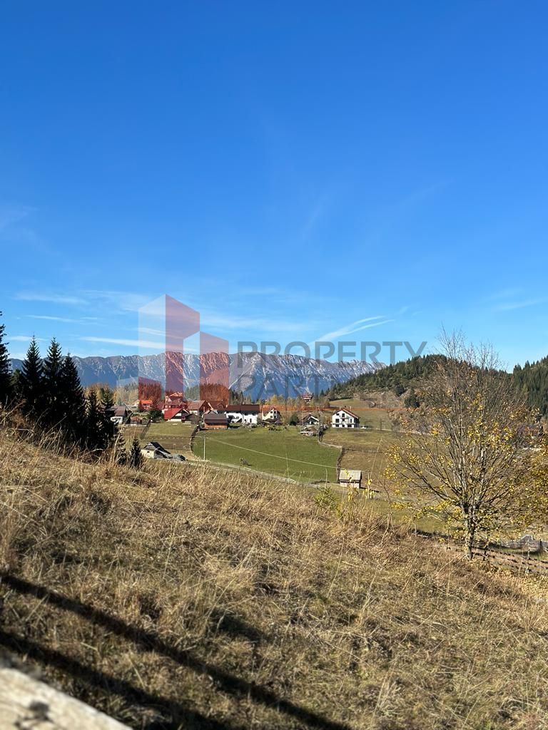 Teren Fundatica intravilan 4500 mp - Poză 6