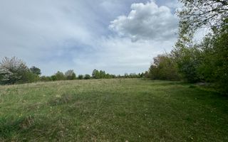 TEREN INTRAVILAN, 7472 MP, VALEA MARE PRAVAT, ARGES - Poză 9