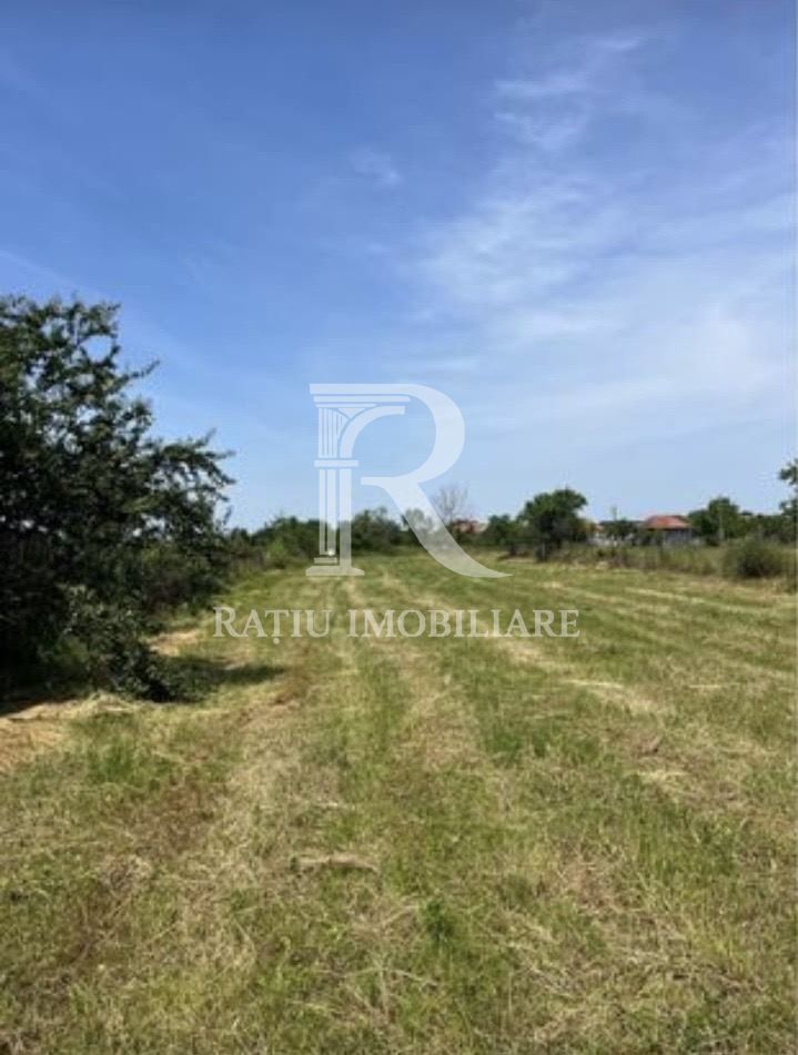 Teren cu proiect de casa | Sititelec | Bihor - Poză 2