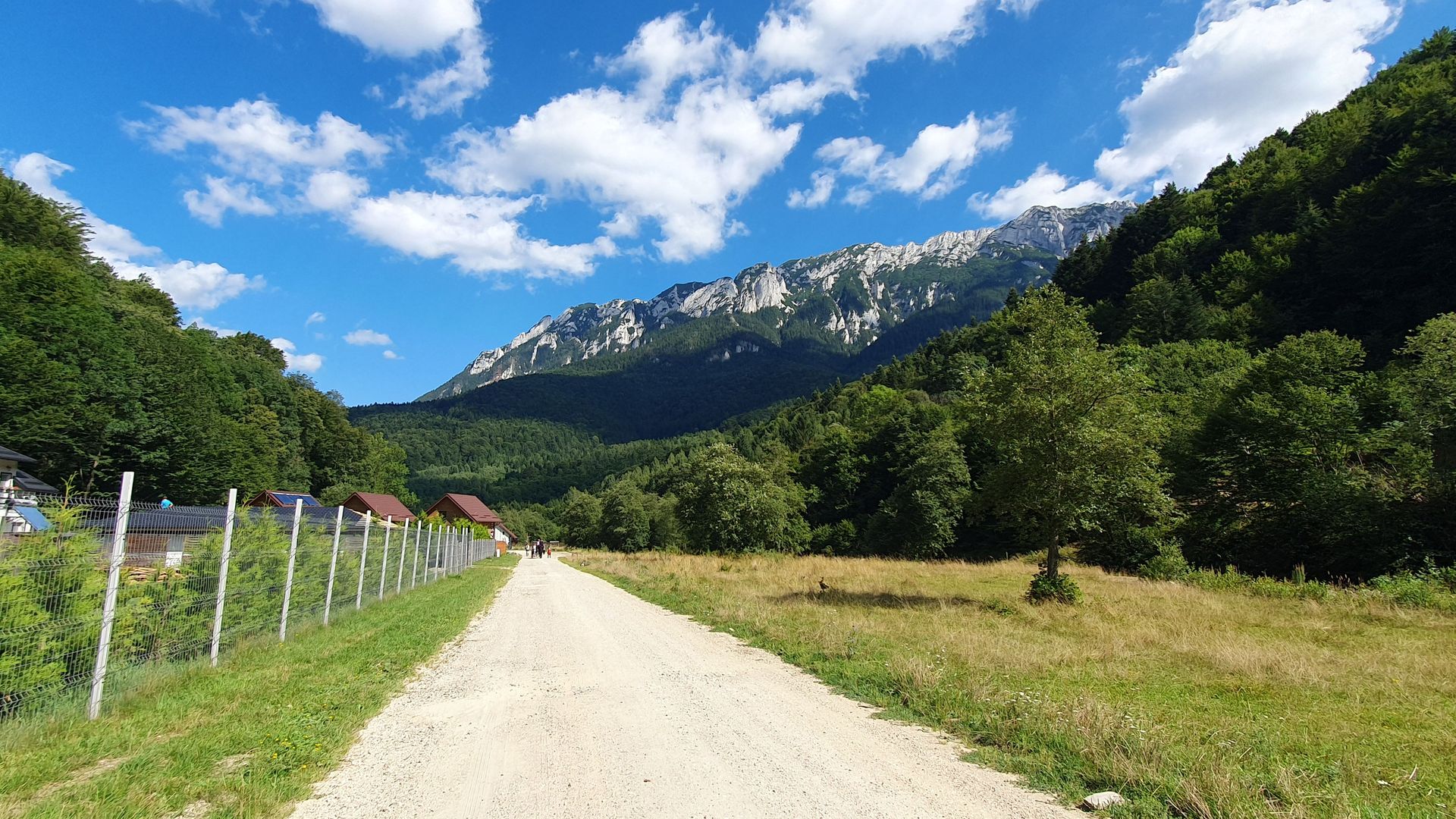 Superb!Zarnesti, Piatra Craiului, teren intravilan 1000mp, acces direct  la rau - Poză 5