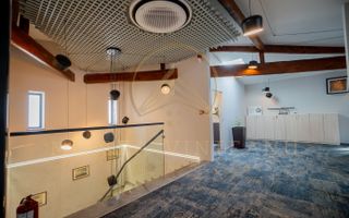 Vilă istorică de vânzare în Peninsula Constanța - Poză 9