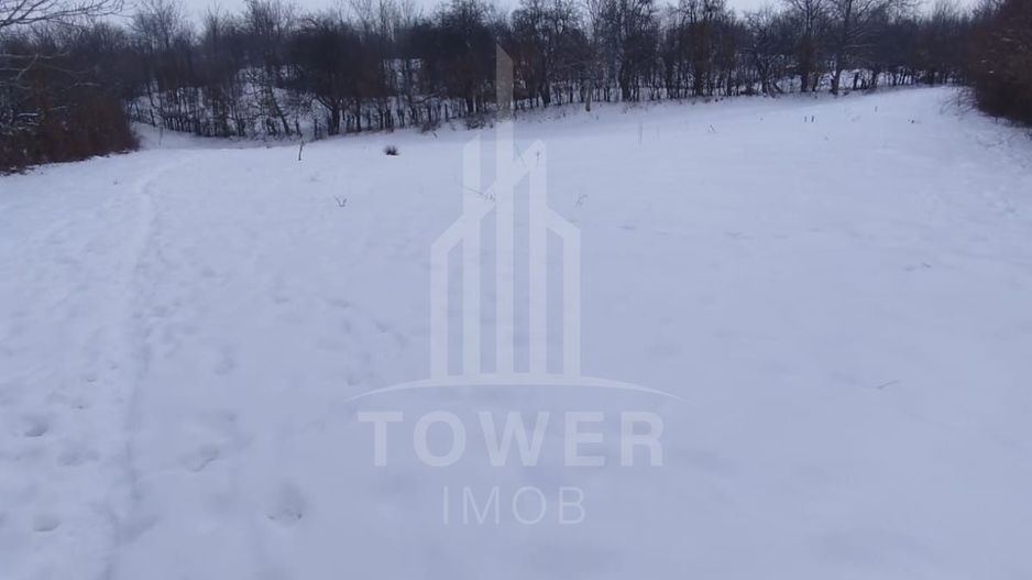 Teren intravilan 2.295 mp, deschidere 60 m – Rășinari, comision 0% - Poză 8