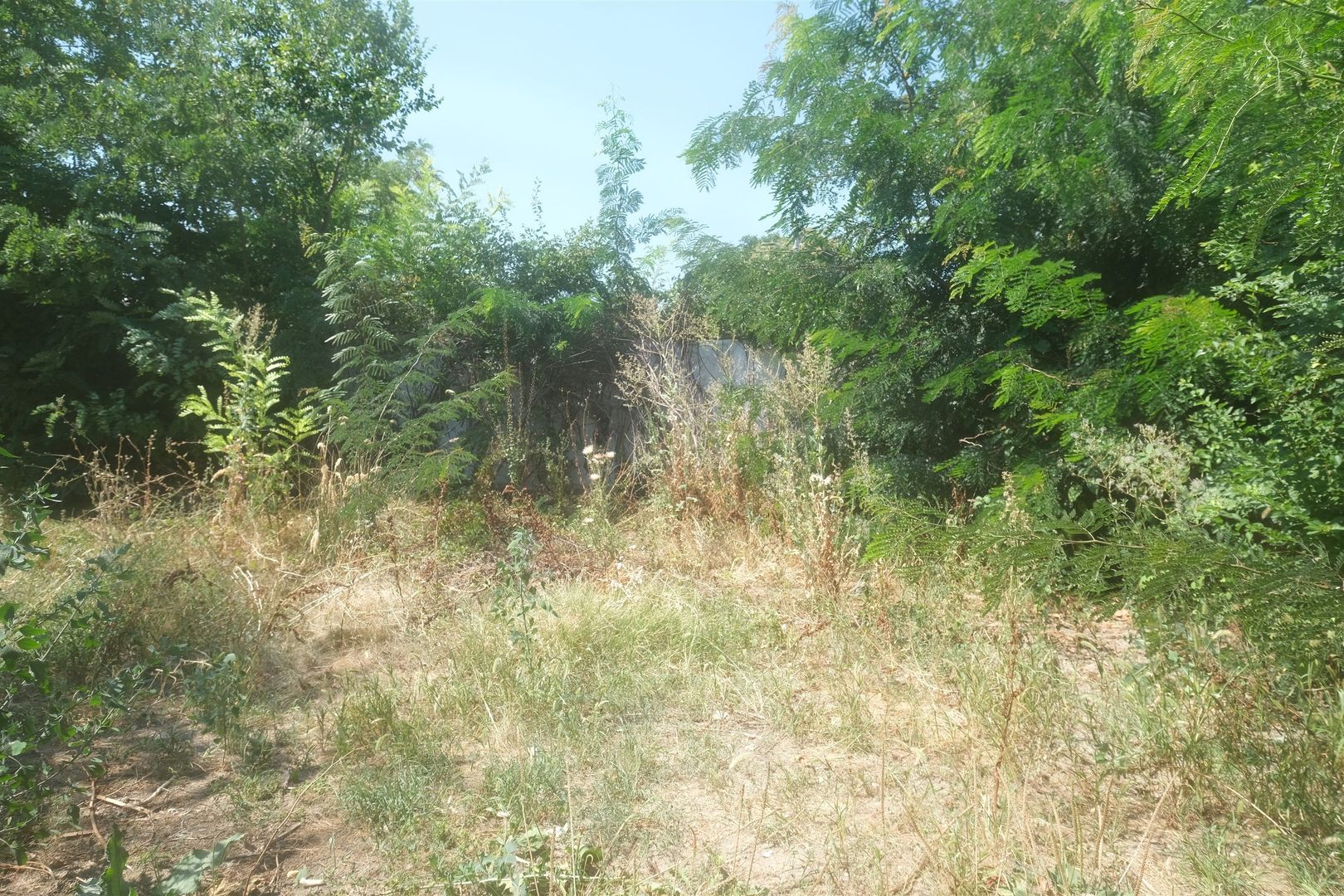 LACUL TEI - Tei Toboc, imobil teren 200 mp. plus casa din caramida - Poză 21