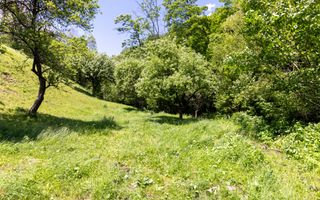 Moieciu de Jos |Teren 11.381 mp | Panoramă, potențial turistic - Poză 17