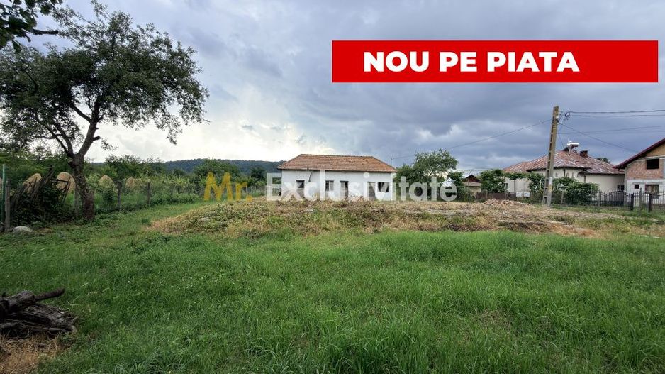 Teren intravilan–2.104 mp | Albești - Transfagarasan - Curtea de Arges - Poză 1
