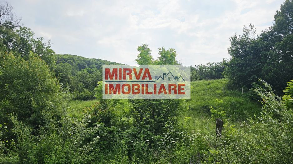 Teren intravilan lângă pădure – 1659 mp,  C.U. P+2E, Vărbilău - Poză 3