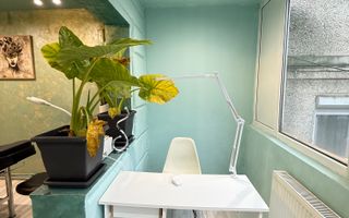 Salon de infrumusetare,  amenajat, Zona Lipovei - Poză 12