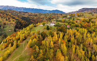 In arena Parcului Natural Piatra Craiului, Magura, Moieciu, Brasov - Poză 4