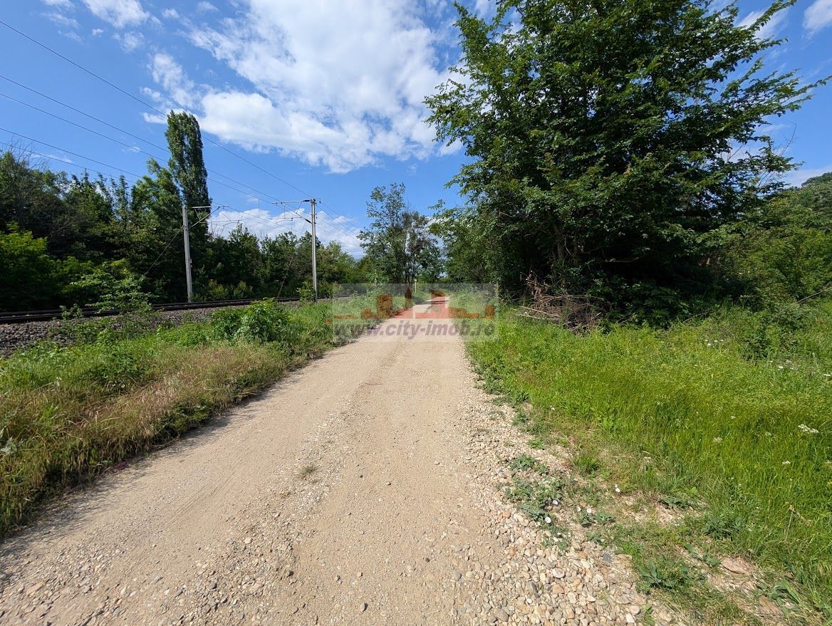 VANZARE TEREN, Sat.Balteni, com. Peris, Padurea Scrovistea, jud IIlfov - Poză 2