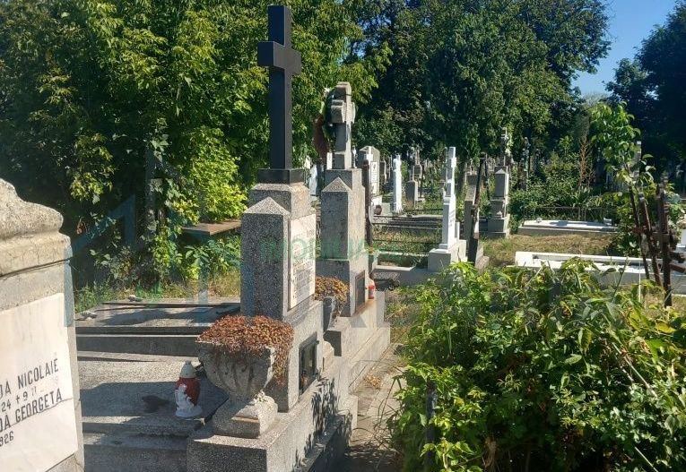 Cavou Eternitate, Parcela 19 – Iasi - Poză 3