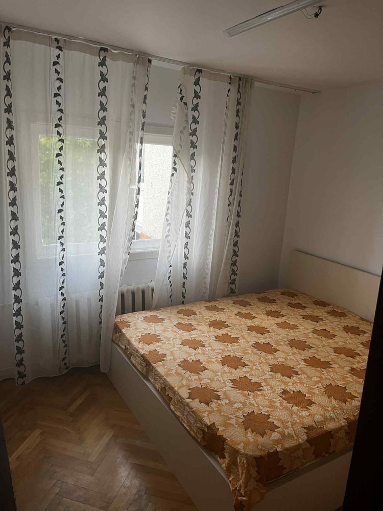 2 cam Soarelui - Poză 3