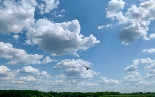 Teren Crevedia 45000 mp - Poză 6