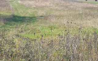 Teren Intravilan | 3.900 Mp Talmaciu | - Poză 1