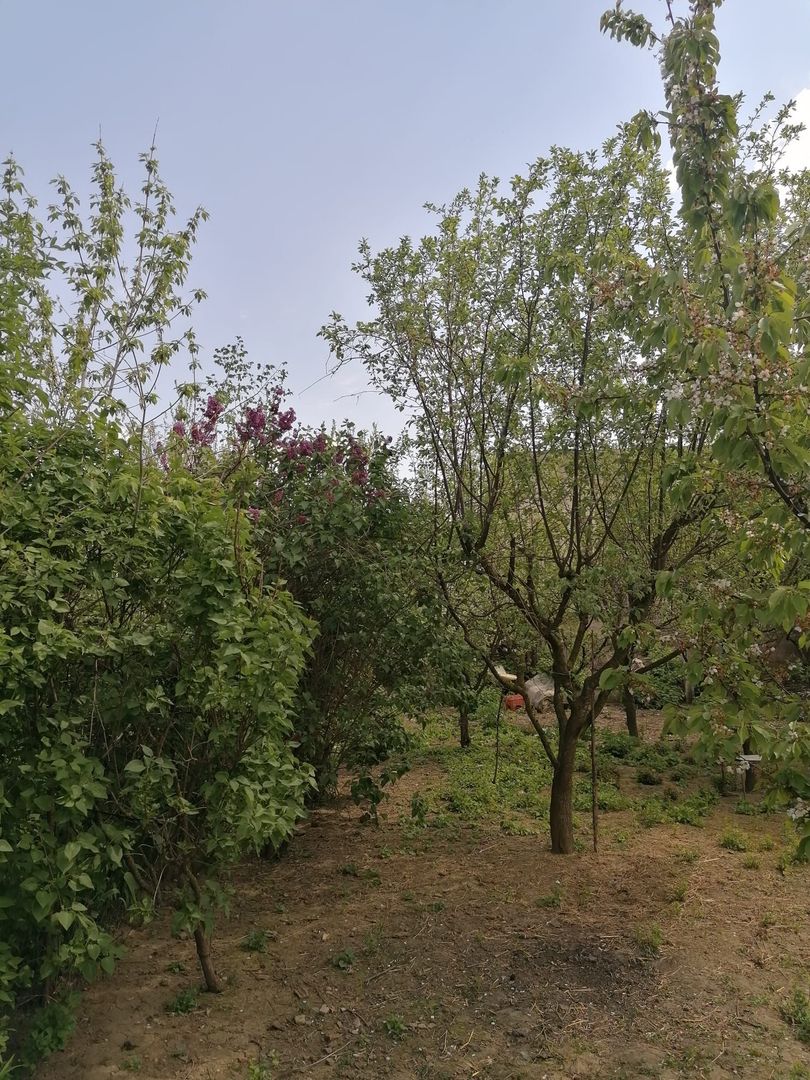 Ag EUROPA vinde casa 6 cam teren 11 ari în zona 14 Mai. - Poză 2