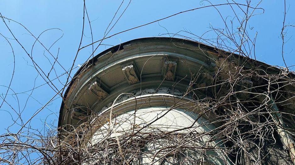 Strada Silvestru | Armeneasca | Casa Individuala 303 mp teren - Poză 3