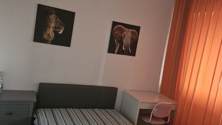 Apartament  Parcul Tineretului // Șincai - Poză 4
