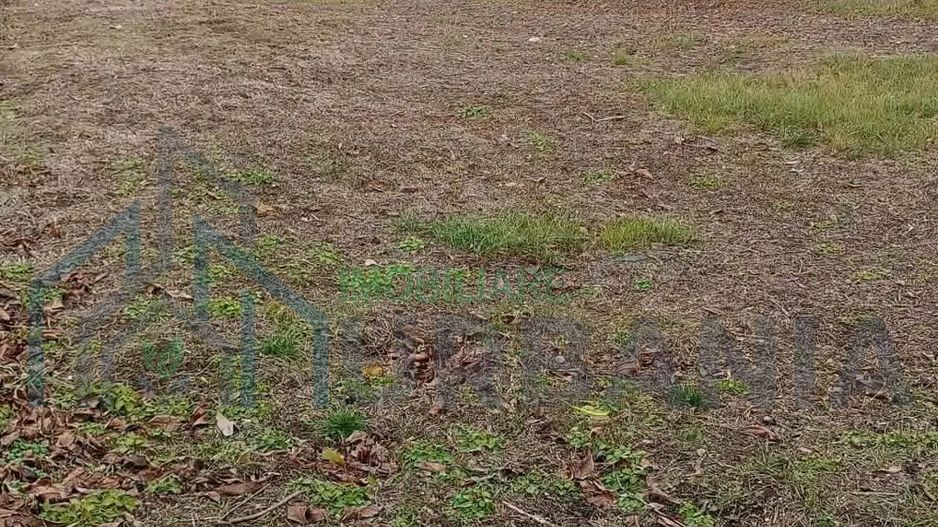 Casă nelocuibila cu teren Sculeni! - Poză 4