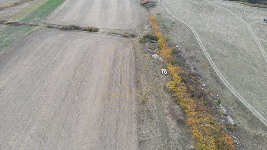 Teren arabil Intravilan 11600mp | LmP | Remetea Mare | COM 0% - Poză 4