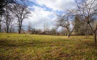 Teren intravilan, cu PUZ, Bran Tohanita,  SE ACCEPTĂ ȘI SCHIMB - Poză 21