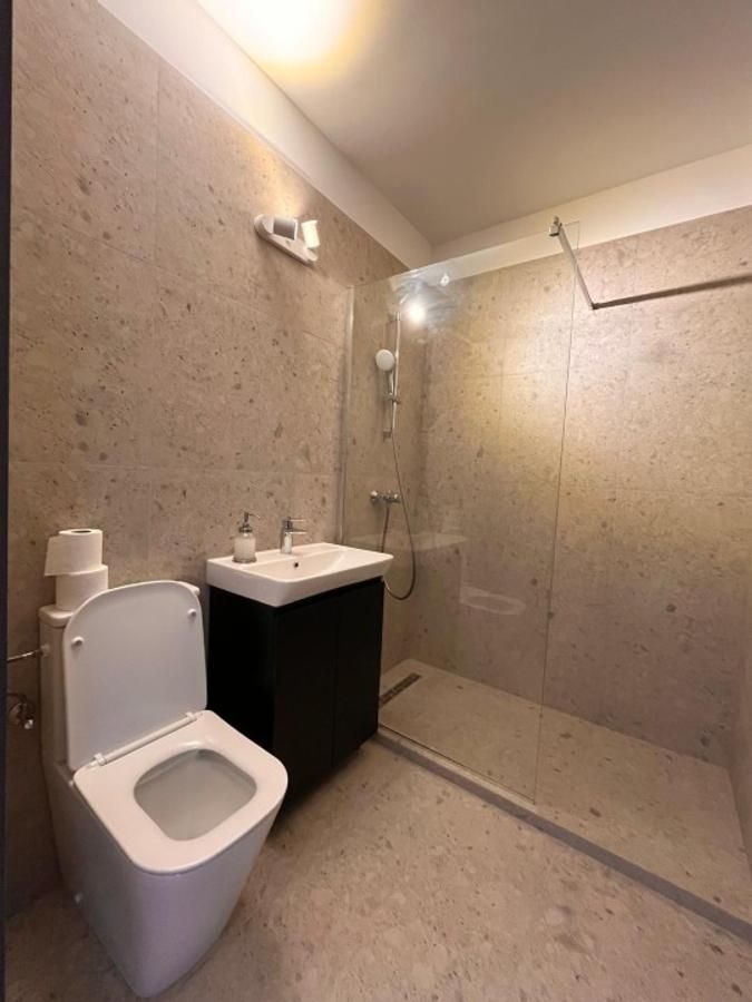 Apartament cu doua camere semidecomandat, piata Domenii - Poză 6