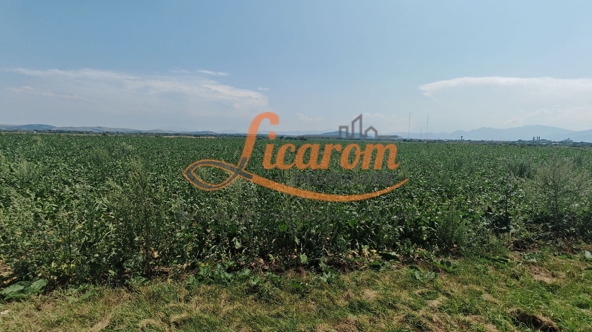 Teren intravilan 3,85 ha,Brasov DN 13 langa MILLE, OLYMPUS, ARKADA - Poză 3