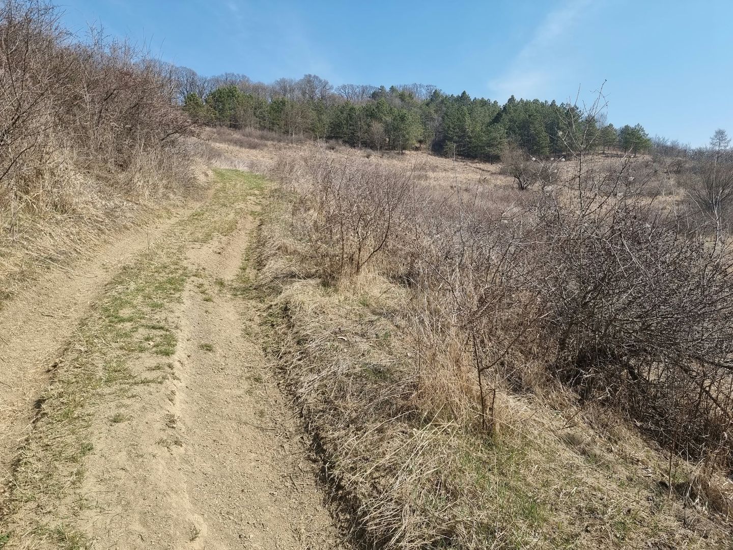Teren de vanzare in Corunca –5.000 mp /55.000 EUR - Poză 7