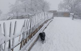 Proprietate cu 60000 mp pamant la pret de apartament - Poză 2