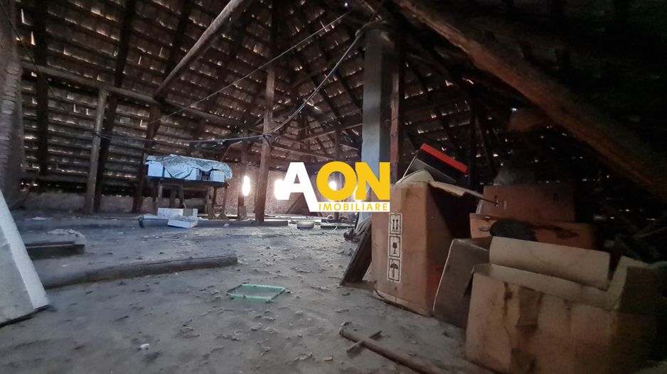 Casa 3 Camere + Demisol, Teren 287 mp, Zona Cetate - Poză 24