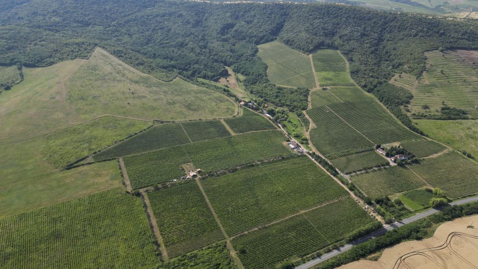 Vie Tradițională „Halta Lupilor” - Poză 34