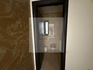 Penthouse I Apartament 4 camere Sisesti I Sector 1 - Poză 27