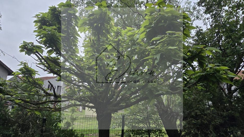 Vila 5 camere LUX Voluntari - Cartier Henri Coanda - Poză 1