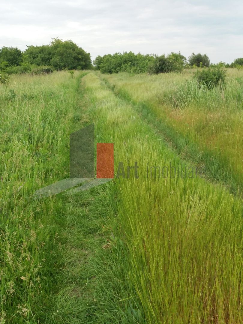 Teren Buftea cu iesire la lac - Poză 16