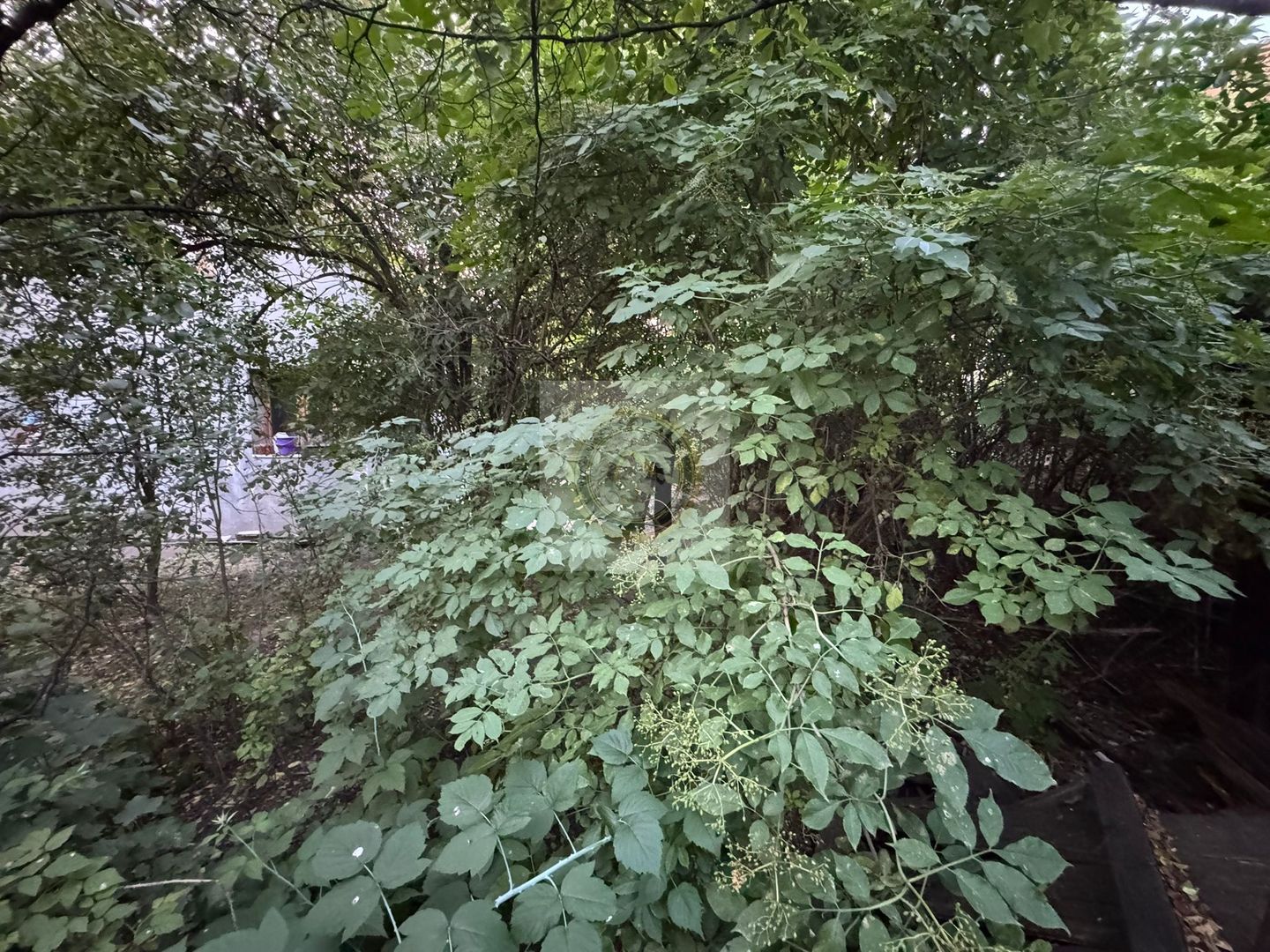 Teren și casă de vânzare în Miercurea Ciuc, zona L1u (strada Leliceni) - Poză 26