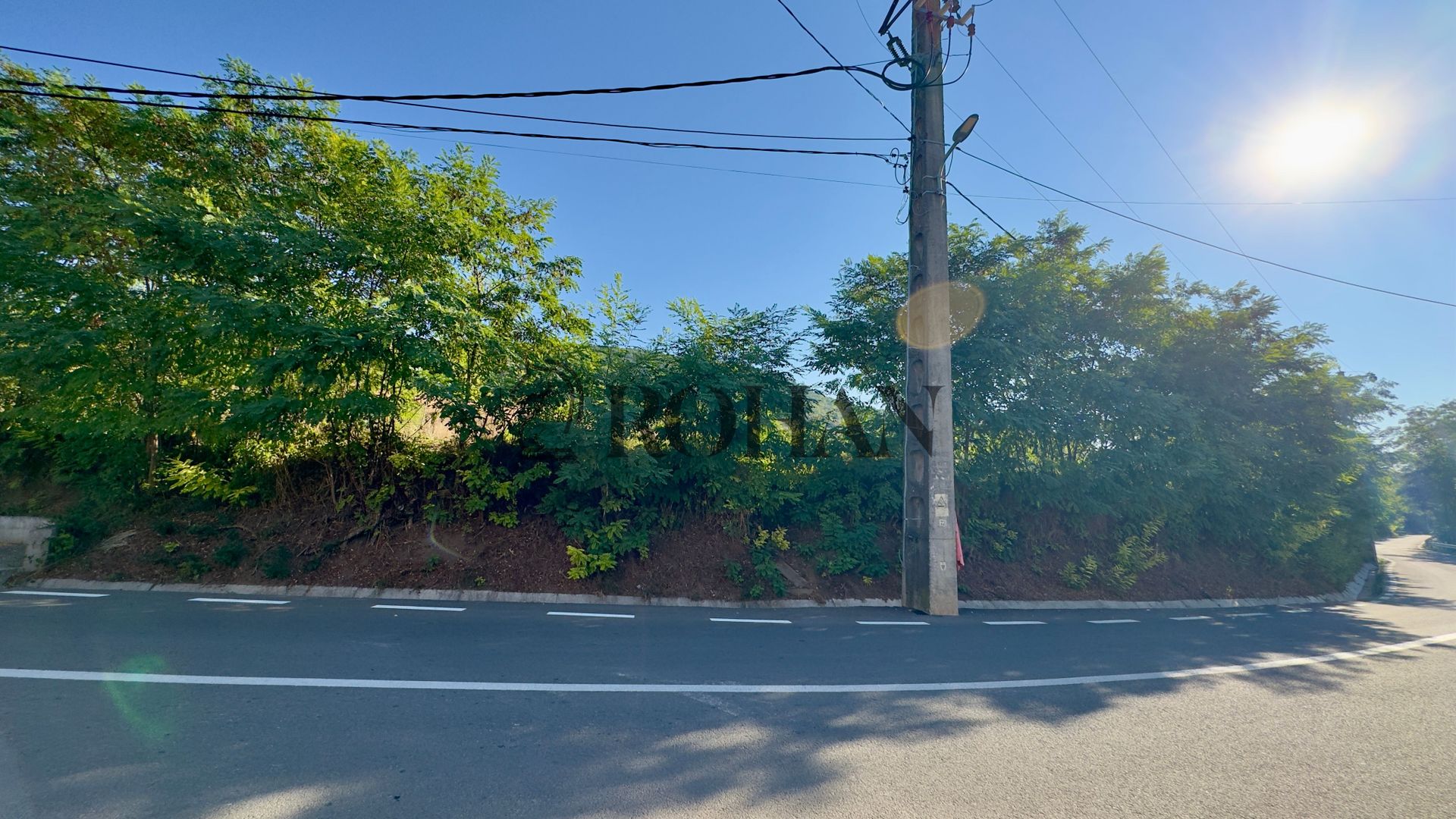 Teren 4.000 mp | Front Generos 47 ml | Utilități | La Asfalt | Cricău - Poză 1