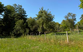 Teren Parau | Valea Danului, Curtea de Arges | Vidraru | - Poză 5