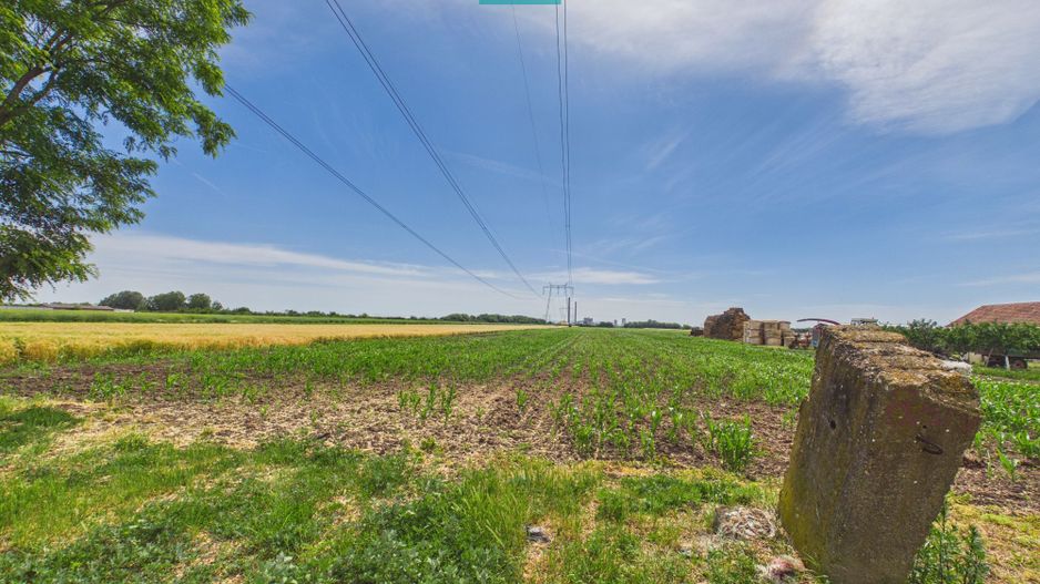Teren extravilan 5000 mp, Arad - Poză 5