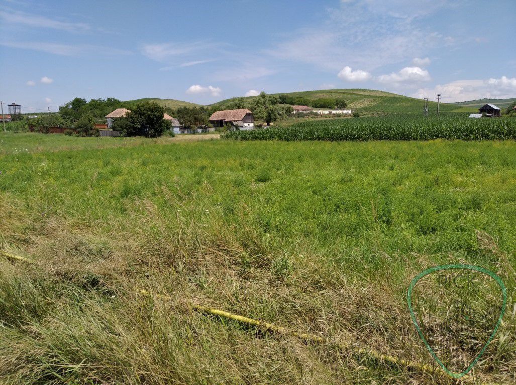 P 1037 - Teren  în județul Mureș - comuna Band - Poză 3