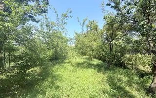 Casa interbelică cu arhitectură deosebită+Anexa și teren 1570 mp - Poză 35