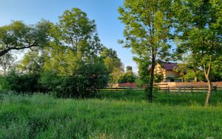 Teren Intravilan Ilisesti/Suceava - Poză 5