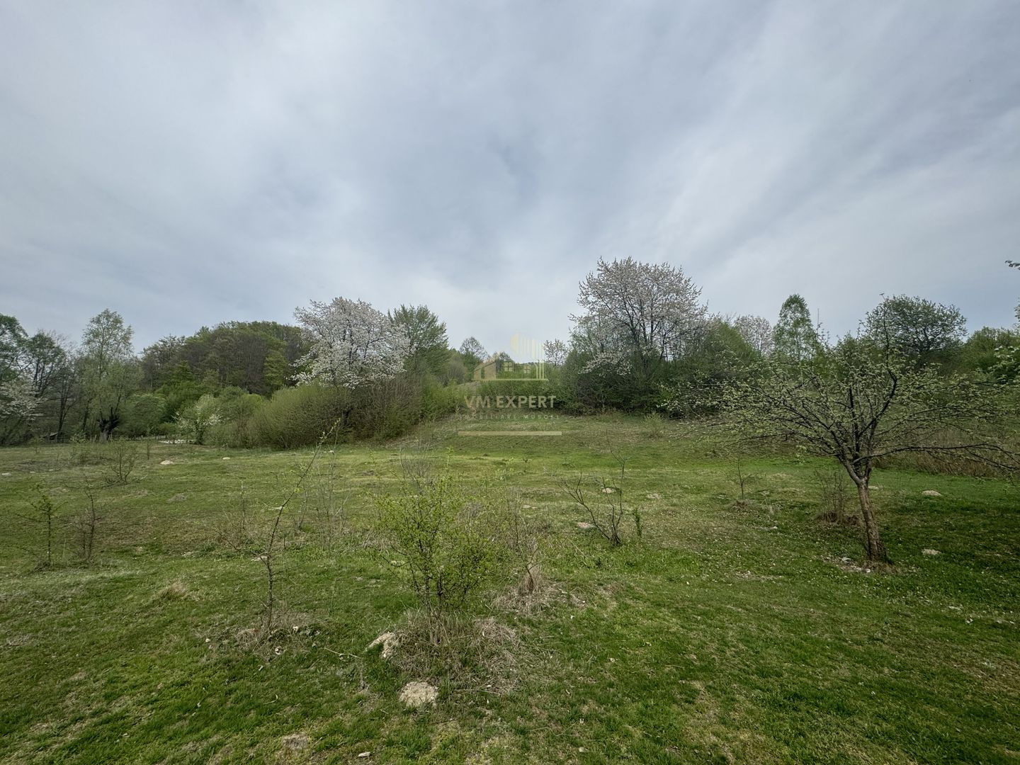 TEREN EXTRAVILAN 40000 MP, ALBESTI DE MUSCEL, CANDESTI - Poză 5