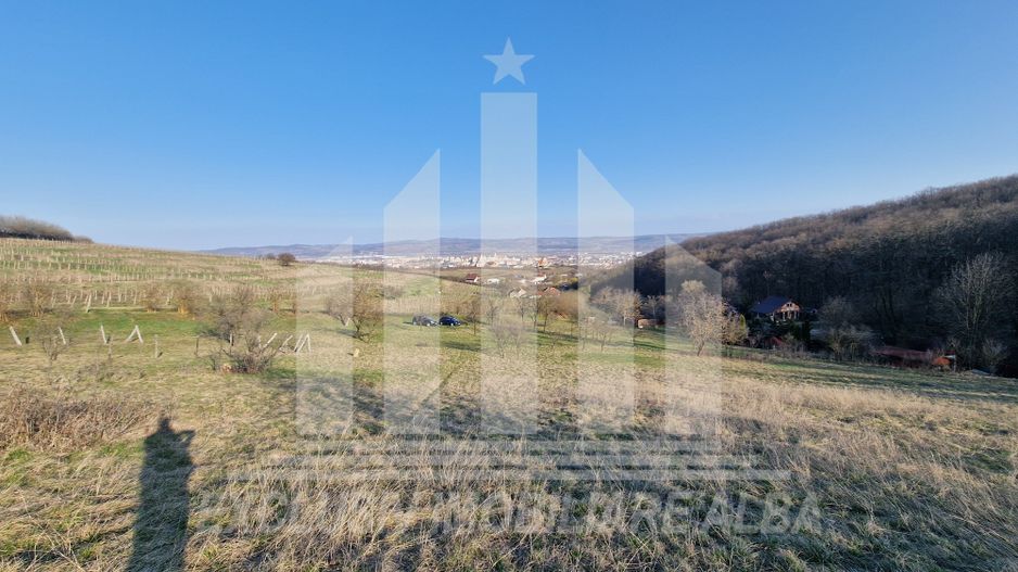 Teren intravilan | De vanzare | 1808 mp | 18 ml deschidere | Seigau - Poză 5