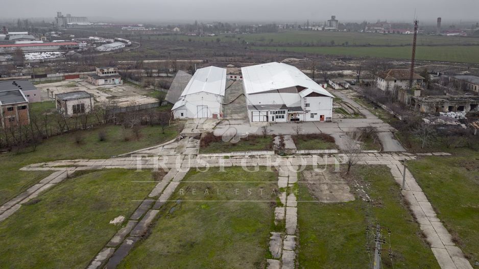 Teren 28.788m + Hale industriale + Sediu Firma - Poză 14