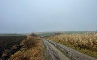 TEREN EXTRAVILAN | DOUA PARCELE 2.84 HA| IDEAL AGRICOL | DARMANESTI - Poză 14